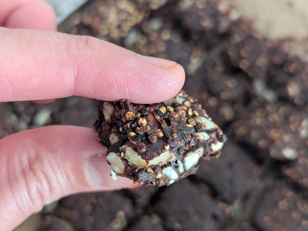 barre de chocolat au quinoa noisettes et raisins secs
