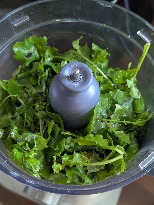 mettre la roquette dans la mixeur