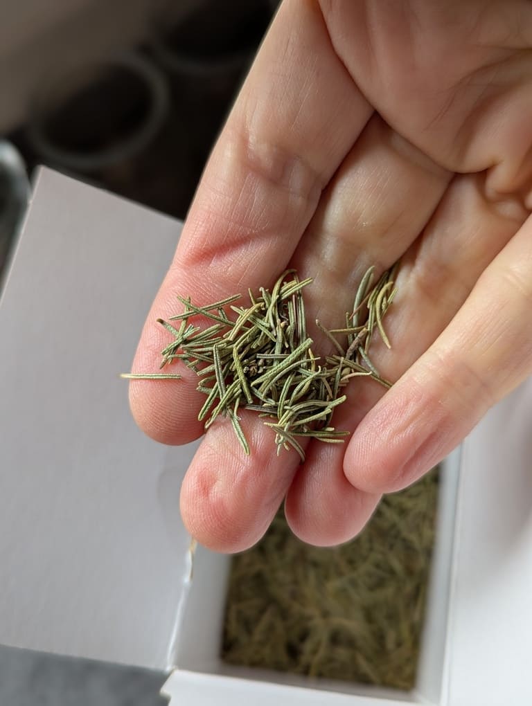 les vertus du romarin pour la santé