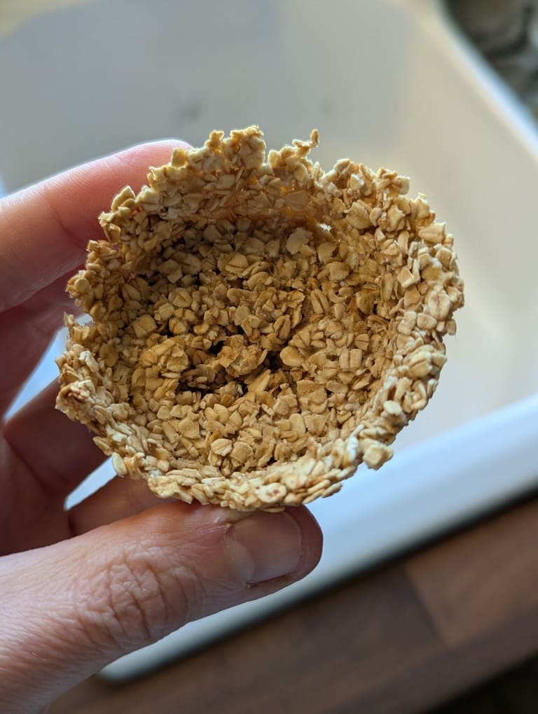 7 coque du biscuit une fois cuite