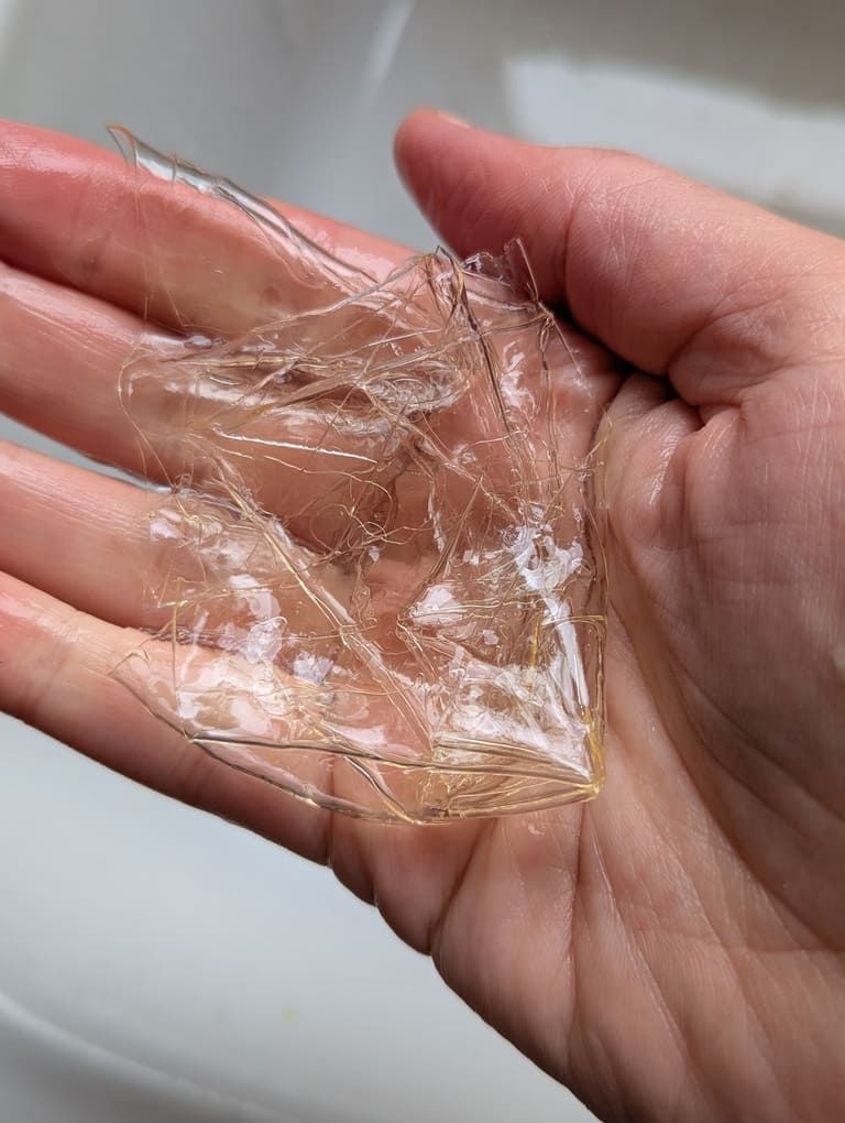 essorer la gélatine