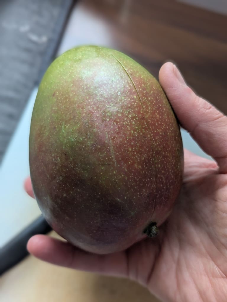 mangue bien mure et juteuse