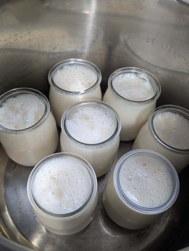 placer les pots dans l'étuve