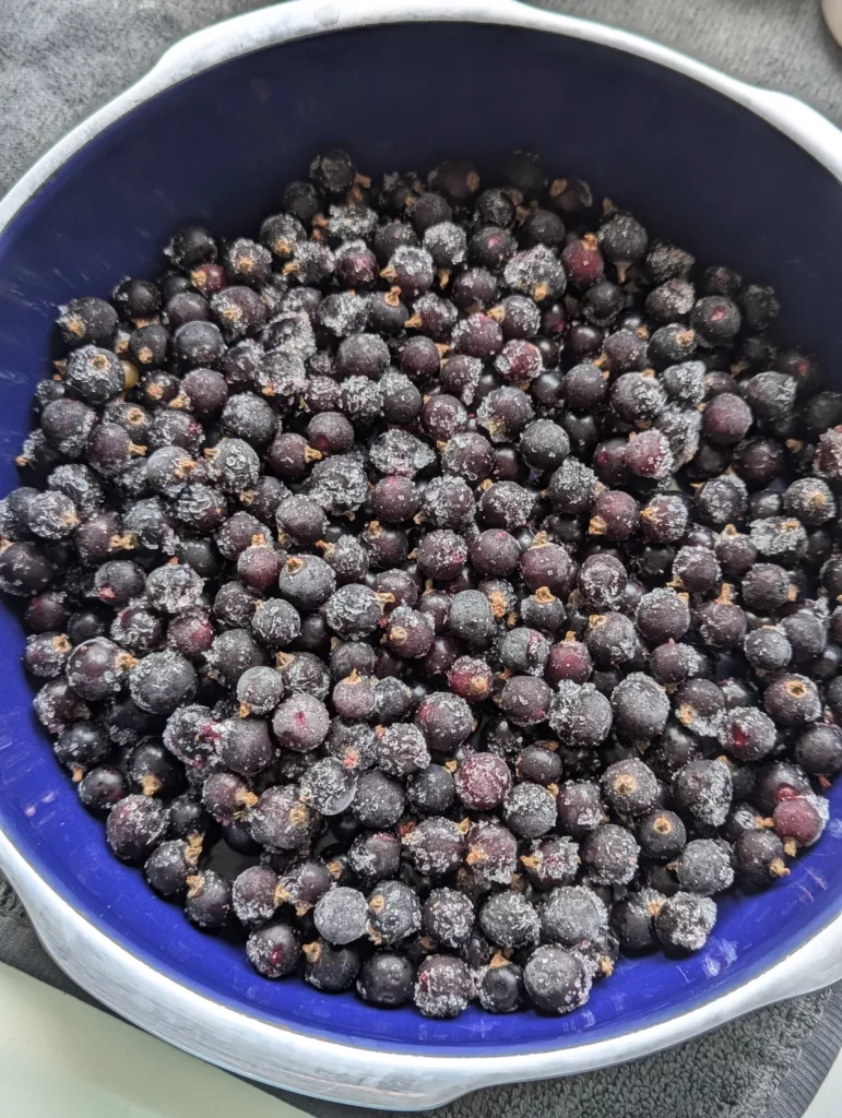 Cassis du jardin congelés dans un plat à crumble