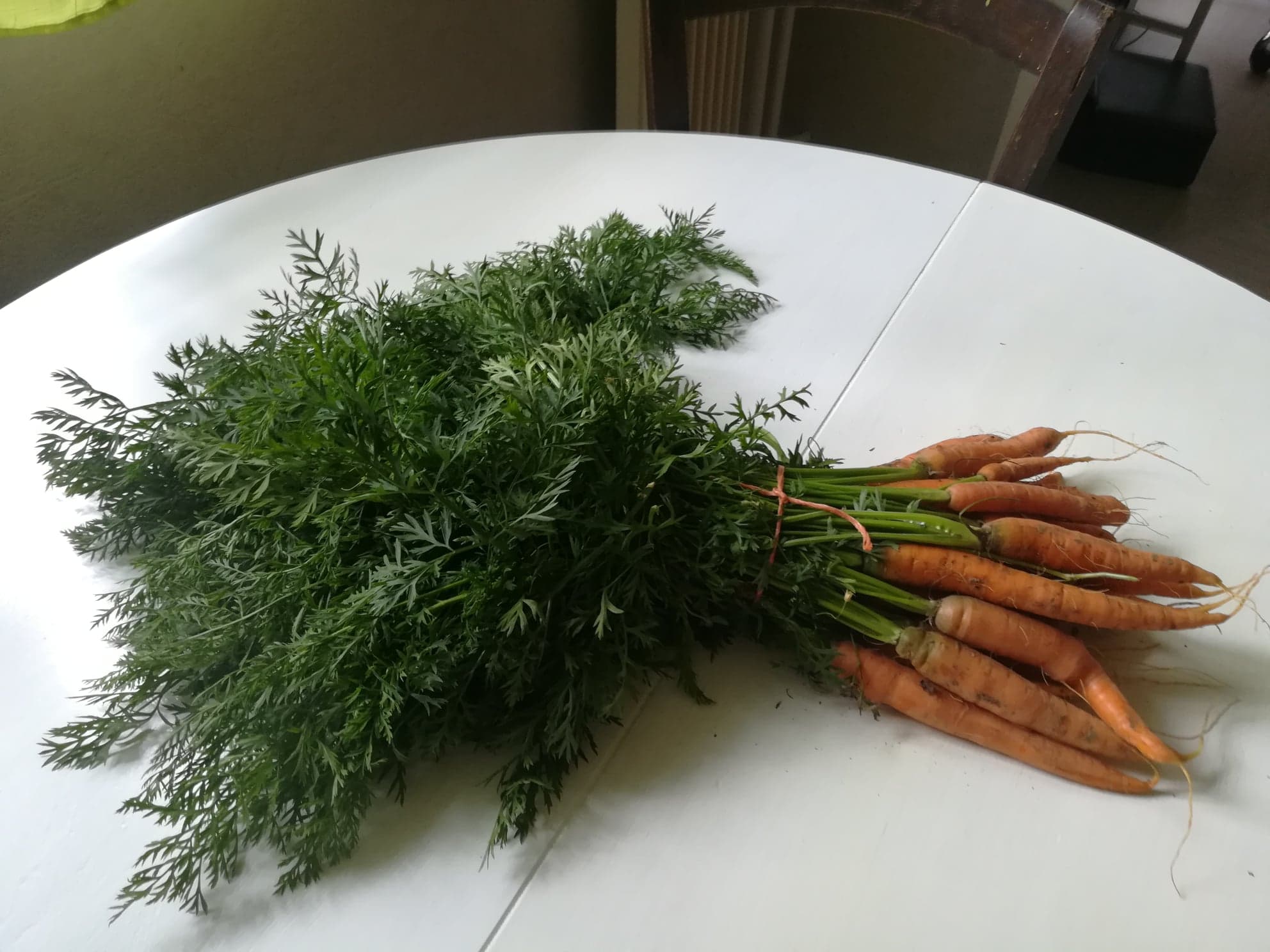 Que faire avec les fanes de carottes ?