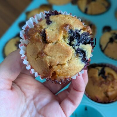 Recette allégée de muffins aux myrtilles et chocolat blanc