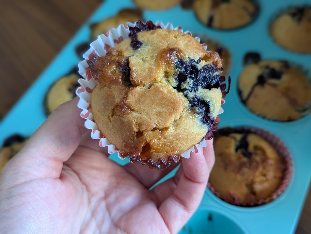 Recette allégée de muffins aux myrtilles et chocolat blanc