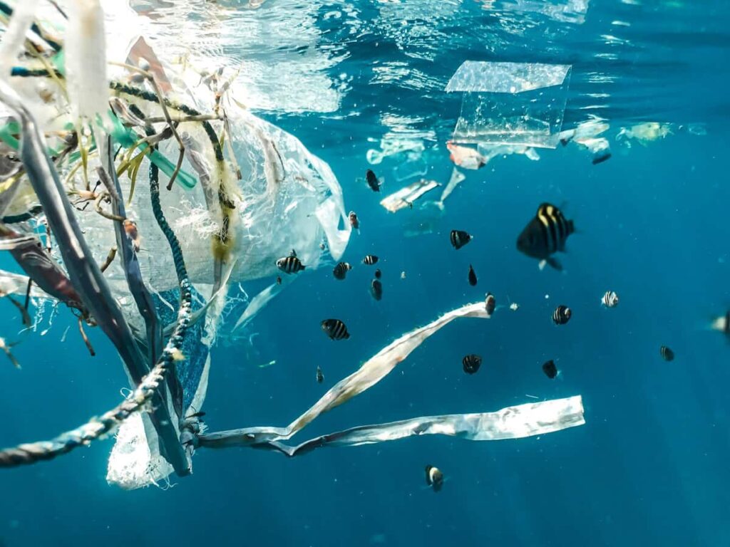 les meilleurs produits zéro déchets à avoir chez soi