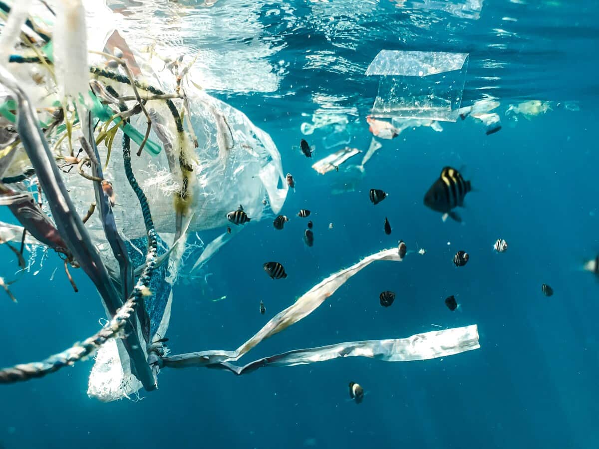 les meilleurs produits zéro déchets à avoir chez soi