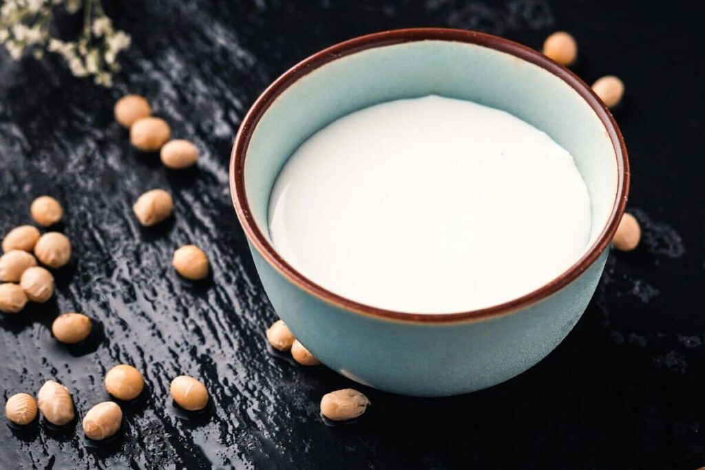recettes pour faire son lait végétal maison