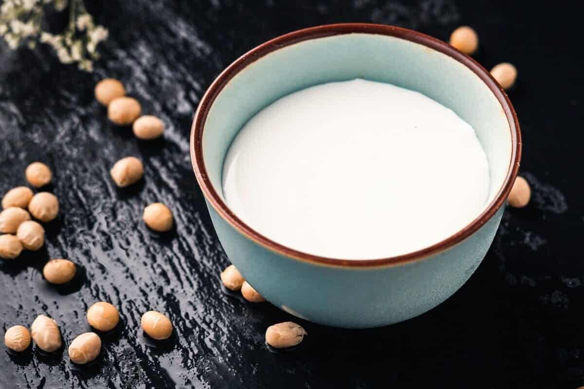 recettes pour faire son lait végétal maison