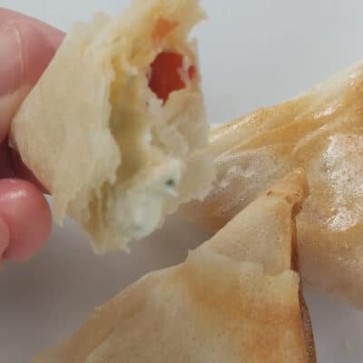 recette de samoussa tomate cerise mozzarella