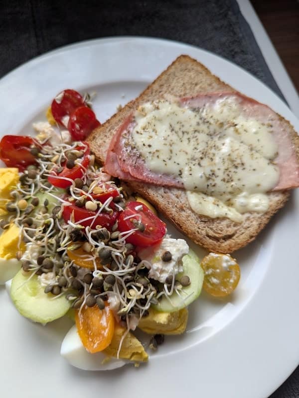 recette express de tartine au jambon mozzarella