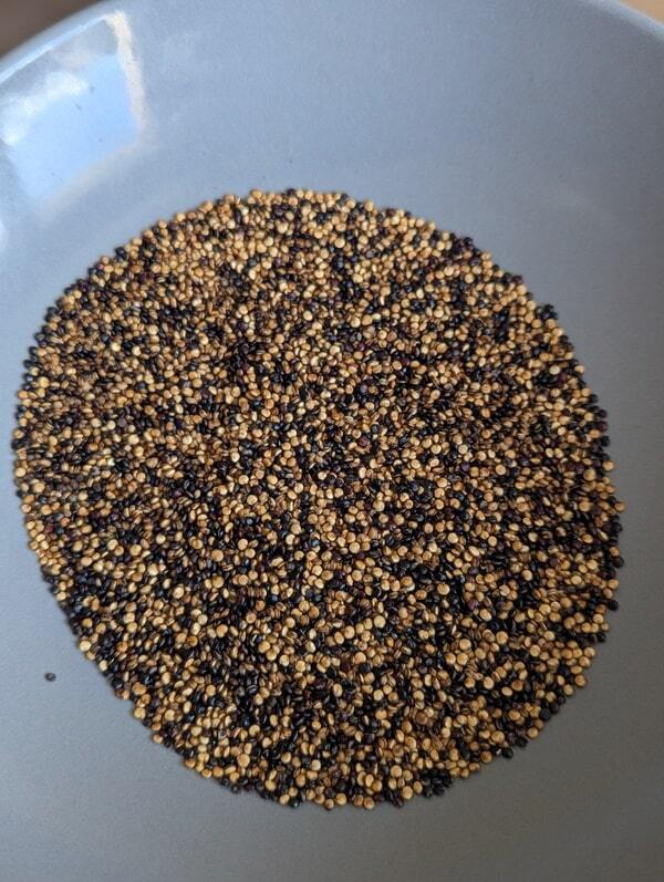 laisser refroidir le quinoa