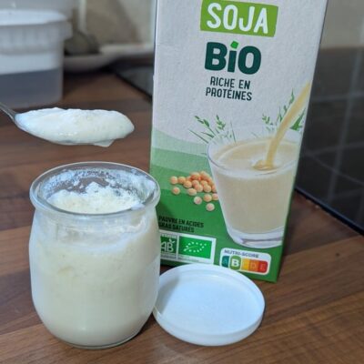 faire ses yaourts maison au soja